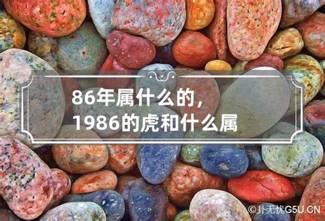 1986 虎 五行